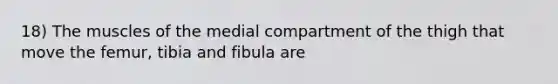 18) The muscles of the medial compartment of the thigh that move the femur, tibia and fibula are