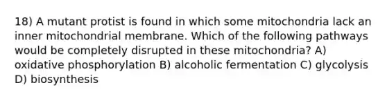 18) A mutant protist is found in which some mitochondria lack an inner mitochondrial membrane. Which of the following pathways would be completely disrupted in these mitochondria? A) <a href='https://www.questionai.com/knowledge/kFazUb9IwO-oxidative-phosphorylation' class='anchor-knowledge'>oxidative phosphorylation</a> B) alcoholic fermentation C) glycolysis D) biosynthesis