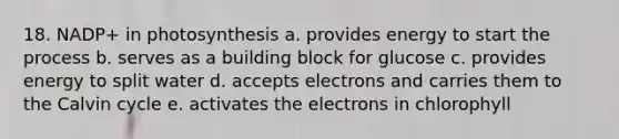 18. NADP+ in photosynthesis a. provides energy to start the process b. serves as a building block for glucose c. provides energy to split water d. accepts electrons and carries them to the Calvin cycle e. activates the electrons in chlorophyll