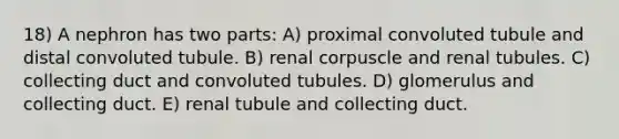 18) A nephron has two parts: A) proximal convoluted tubule and distal convoluted tubule. B) renal corpuscle and renal tubules. C) collecting duct and convoluted tubules. D) glomerulus and collecting duct. E) renal tubule and collecting duct.