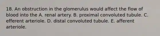 18. An obstruction in the glomerulus would affect the flow of blood into the A. renal artery. B. proximal convoluted tubule. C. efferent arteriole. D. distal convoluted tubule. E. afferent arteriole.