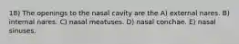 18) The openings to the nasal cavity are the A) external nares. B) internal nares. C) nasal meatuses. D) nasal conchae. E) nasal sinuses.