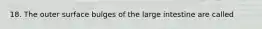 18. The outer surface bulges of the large intestine are called
