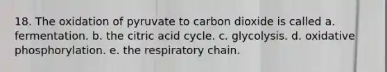 18. The oxidation of pyruvate to carbon dioxide is called a. fermentation. b. the citric acid cycle. c. glycolysis. d. oxidative phosphorylation. e. the respiratory chain.