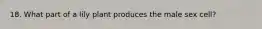 18. What part of a lily plant produces the male sex cell?
