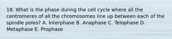 18. What is the phase during the cell cycle where all the centromeres of all the chromosomes line up between each of the spindle poles? A. Interphase B. Anaphase C. Telophase D. Metaphase E. Prophase