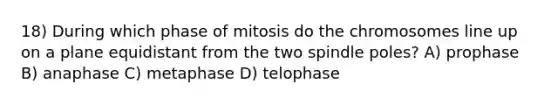 18) During which phase of mitosis do the chromosomes line up on a plane equidistant from the two spindle poles? A) prophase B) anaphase C) metaphase D) telophase