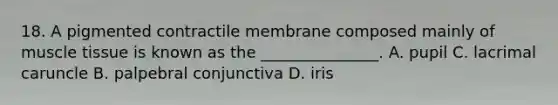 18. A pigmented contractile membrane composed mainly of muscle tissue is known as the _______________. A. pupil C. lacrimal caruncle B. palpebral conjunctiva D. iris