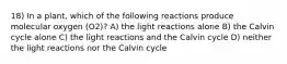 18) In a plant, which of the following reactions produce molecular oxygen (O2)? A) the light reactions alone B) the Calvin cycle alone C) the light reactions and the Calvin cycle D) neither the light reactions nor the Calvin cycle