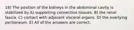 18) The position of the kidneys in the abdominal cavity is stabilized by A) supporting connective tissues. B) the renal fascia. C) contact with adjacent visceral organs. D) the overlying peritoneum. E) All of the answers are correct.