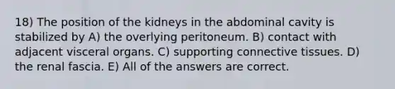 18) The position of the kidneys in the abdominal cavity is stabilized by A) the overlying peritoneum. B) contact with adjacent visceral organs. C) supporting connective tissues. D) the renal fascia. E) All of the answers are correct.