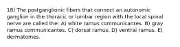 18) The postganglionic fibers that connect an autonomic ganglion in the thoracic or lumbar region with the local spinal nerve are called the: A) white ramus communicantes. B) gray ramus communicantes. C) dorsal ramus. D) ventral ramus. E) dermatomes.