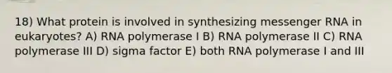 18) What protein is involved in synthesizing messenger RNA in eukaryotes? A) RNA polymerase I B) RNA polymerase II C) RNA polymerase III D) sigma factor E) both RNA polymerase I and III