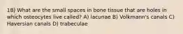 18) What are the small spaces in bone tissue that are holes in which osteocytes live called? A) lacunae B) Volkmann's canals C) Haversian canals D) trabeculae