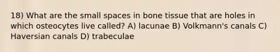 18) What are the small spaces in bone tissue that are holes in which osteocytes live called? A) lacunae B) Volkmann's canals C) Haversian canals D) trabeculae