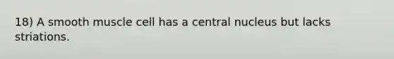 18) A smooth muscle cell has a central nucleus but lacks striations.