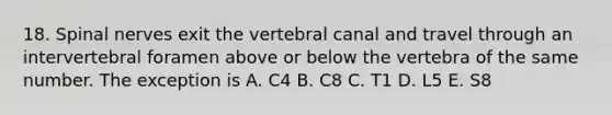 18. Spinal nerves exit the vertebral canal and travel through an intervertebral foramen above or below the vertebra of the same number. The exception is A. C4 B. C8 C. T1 D. L5 E. S8