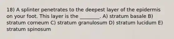 18) A splinter penetrates to the deepest layer of the epidermis on your foot. This layer is the ________. A) stratum basale B) stratum corneum C) stratum granulosum D) stratum lucidum E) stratum spinosum