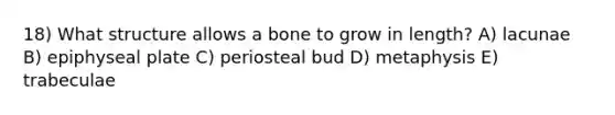 18) What structure allows a bone to grow in length? A) lacunae B) epiphyseal plate C) periosteal bud D) metaphysis E) trabeculae