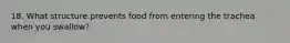 18. What structure prevents food from entering the trachea when you swallow?