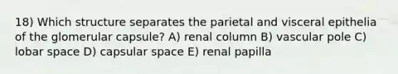 18) Which structure separates the parietal and visceral epithelia of the glomerular capsule? A) renal column B) vascular pole C) lobar space D) capsular space E) renal papilla