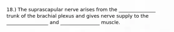18.) The suprascapular nerve arises from the _______________ trunk of the brachial plexus and gives nerve supply to the _________________ and ________________ muscle.