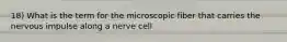 18) What is the term for the microscopic fiber that carries the nervous impulse along a nerve cell