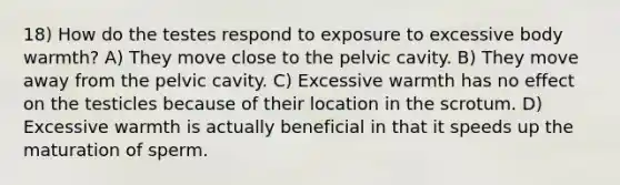 18) How do the testes respond to exposure to excessive body warmth? A) They move close to the pelvic cavity. B) They move away from the pelvic cavity. C) Excessive warmth has no effect on the testicles because of their location in the scrotum. D) Excessive warmth is actually beneficial in that it speeds up the maturation of sperm.