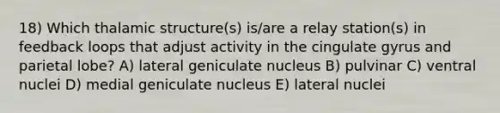 18) Which thalamic structure(s) is/are a relay station(s) in feedback loops that adjust activity in the cingulate gyrus and parietal lobe? A) lateral geniculate nucleus B) pulvinar C) ventral nuclei D) medial geniculate nucleus E) lateral nuclei