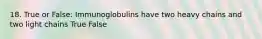 18. True or False: Immunoglobulins have two heavy chains and two light chains True False