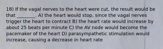 18) If the vagal nerves to the heart were cut, the result would be that ________. A) the heart would stop, since the vagal nerves trigger the heart to contract B) the heart rate would increase by about 25 beats per minute C) the AV node would become the pacemaker of the heart D) parasympathetic stimulation would increase, causing a decrease in heart rate