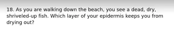 18. As you are walking down the beach, you see a dead, dry, shriveled-up fish. Which layer of your epidermis keeps you from drying out?