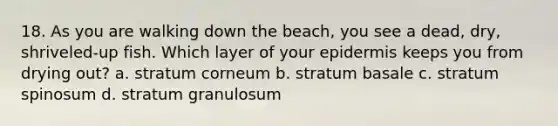 18. As you are walking down the beach, you see a dead, dry, shriveled-up fish. Which layer of your epidermis keeps you from drying out? a. stratum corneum b. stratum basale c. stratum spinosum d. stratum granulosum