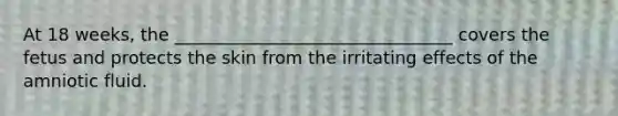 At 18 weeks, the ________________________________ covers the fetus and protects the skin from the irritating effects of the amniotic fluid.