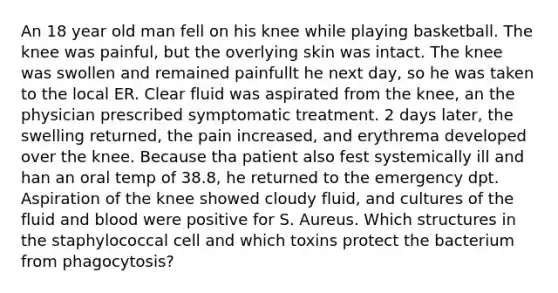 An 18 year old man fell on his knee while playing basketball. The knee was painful, but the overlying skin was intact. The knee was swollen and remained painfullt he next day, so he was taken to the local ER. Clear fluid was aspirated from the knee, an the physician prescribed symptomatic treatment. 2 days later, the swelling returned, the pain increased, and erythrema developed over the knee. Because tha patient also fest systemically ill and han an oral temp of 38.8, he returned to the emergency dpt. Aspiration of the knee showed cloudy fluid, and cultures of the fluid and blood were positive for S. Aureus. Which structures in the staphylococcal cell and which toxins protect the bacterium from phagocytosis?