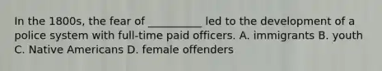 In the 1800s, the fear of __________ led to the development of a police system with full-time paid officers. A. immigrants B. youth C. Native Americans D. female offenders