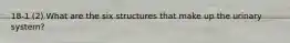 18-1 (2) What are the six structures that make up the urinary system?