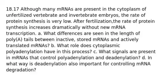 18.17 Although many mRNAs are present in the cytoplasm of unfertilized vertebrate and invertebrate embryos, the rate of <a href='https://www.questionai.com/knowledge/kVyphSdCnD-protein-synthesis' class='anchor-knowledge'>protein synthesis</a> is very low. After fertilization,the rate of protein synthesis increases dramatically without new mRNA transcription. a. What differences are seen in the length of poly(A) tails between inactive, stored mRNAs and actively translated mRNAs? b. What role does cytoplasmic polyadenylation have in this process? c. What signals are present in mRNAs that control polyadenylation and deadenylation? d. In what way is deadenylation also important for controlling mRNA degradation?