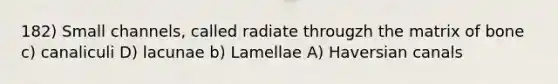 182) Small channels, called radiate througzh the matrix of bone c) canaliculi D) lacunae b) Lamellae A) Haversian canals