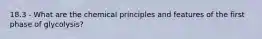 18.3 - What are the chemical principles and features of the first phase of glycolysis?