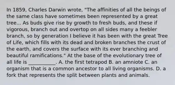 In 1859, Charles Darwin wrote, "The affinities of all the beings of the same class have sometimes been represented by a great tree... As buds give rise by growth to fresh buds, and these if vigorous, branch out and overtop on all sides many a feebler branch, so by generation I believe it has been with the great Tree of Life, which fills with its dead and broken branches the crust of the earth, and covers the surface with its ever branching and beautiful ramifications." At the base of the evolutionary tree of all life is ___________. A. the first tetrapod B. an amniote C. an organism that is a common ancestor to all living organisms. D. a fork that represents the split between plants and animals.