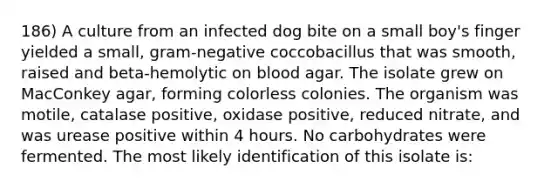 186) A culture from an infected dog bite on a small boy's finger yielded a small, gram-negative coccobacillus that was smooth, raised and beta-hemolytic on blood agar. The isolate grew on MacConkey agar, forming colorless colonies. The organism was motile, catalase positive, oxidase positive, reduced nitrate, and was urease positive within 4 hours. No carbohydrates were fermented. The most likely identification of this isolate is: