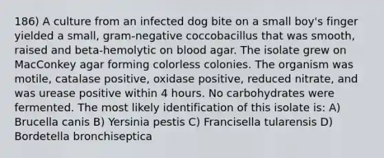 186) A culture from an infected dog bite on a small boy's finger yielded a small, gram-negative coccobacillus that was smooth, raised and beta-hemolytic on blood agar. The isolate grew on MacConkey agar forming colorless colonies. The organism was motile, catalase positive, oxidase positive, reduced nitrate, and was urease positive within 4 hours. No carbohydrates were fermented. The most likely identification of this isolate is: A) Brucella canis B) Yersinia pestis C) Francisella tularensis D) Bordetella bronchiseptica