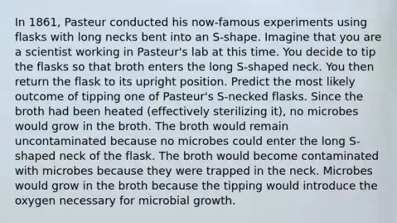 In 1861, Pasteur conducted his now-famous experiments using flasks with long necks bent into an S-shape. Imagine that you are a scientist working in Pasteur's lab at this time. You decide to tip the flasks so that broth enters the long S-shaped neck. You then return the flask to its upright position. Predict the most likely outcome of tipping one of Pasteur's S-necked flasks. Since the broth had been heated (effectively sterilizing it), no microbes would grow in the broth. The broth would remain uncontaminated because no microbes could enter the long S-shaped neck of the flask. The broth would become contaminated with microbes because they were trapped in the neck. Microbes would grow in the broth because the tipping would introduce the oxygen necessary for microbial growth.