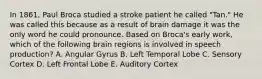 In 1861, Paul Broca studied a stroke patient he called "Tan." He was called this because as a result of brain damage it was the only word he could pronounce. Based on Broca's early work, which of the following brain regions is involved in speech production? A. Angular Gyrus B. Left Temporal Lobe C. Sensory Cortex D. Left Frontal Lobe E. Auditory Cortex