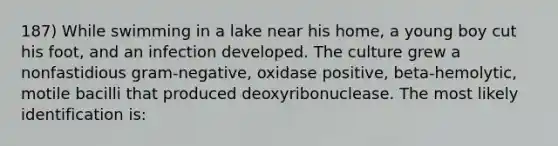 187) While swimming in a lake near his home, a young boy cut his foot, and an infection developed. The culture grew a nonfastidious gram-negative, oxidase positive, beta-hemolytic, motile bacilli that produced deoxyribonuclease. The most likely identification is: