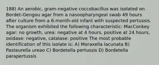 188) An aerobic, gram-negative coccobacillus was isolated on Bordet-Gengou agar from a nasoopharyngeal swab 49 hours after culture from a 6-month-old infant with suspected pertussis. The organism exhibited the following characteristic: MacConkey agar: no growth, urea: negative at 4 hours, positive at 24 hours, oxidase: negative, catalase: positive The most probable identification of this isolate is: A) Moraxella lacunata B) Pasteurella ureao C) Bordetella pertussis D) Bordetella parapertussis