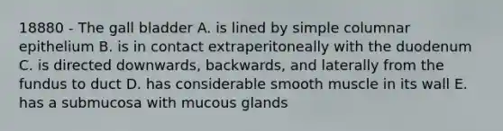 18880 - The gall bladder A. is lined by simple columnar epithelium B. is in contact extraperitoneally with the duodenum C. is directed downwards, backwards, and laterally from the fundus to duct D. has considerable smooth muscle in its wall E. has a submucosa with mucous glands