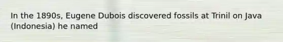 In the 1890s, Eugene Dubois discovered fossils at Trinil on Java (Indonesia) he named