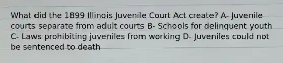 What did the 1899 Illinois Juvenile Court Act create? A- Juvenile courts separate from adult courts B- Schools for delinquent youth C- Laws prohibiting juveniles from working D- Juveniles could not be sentenced to death